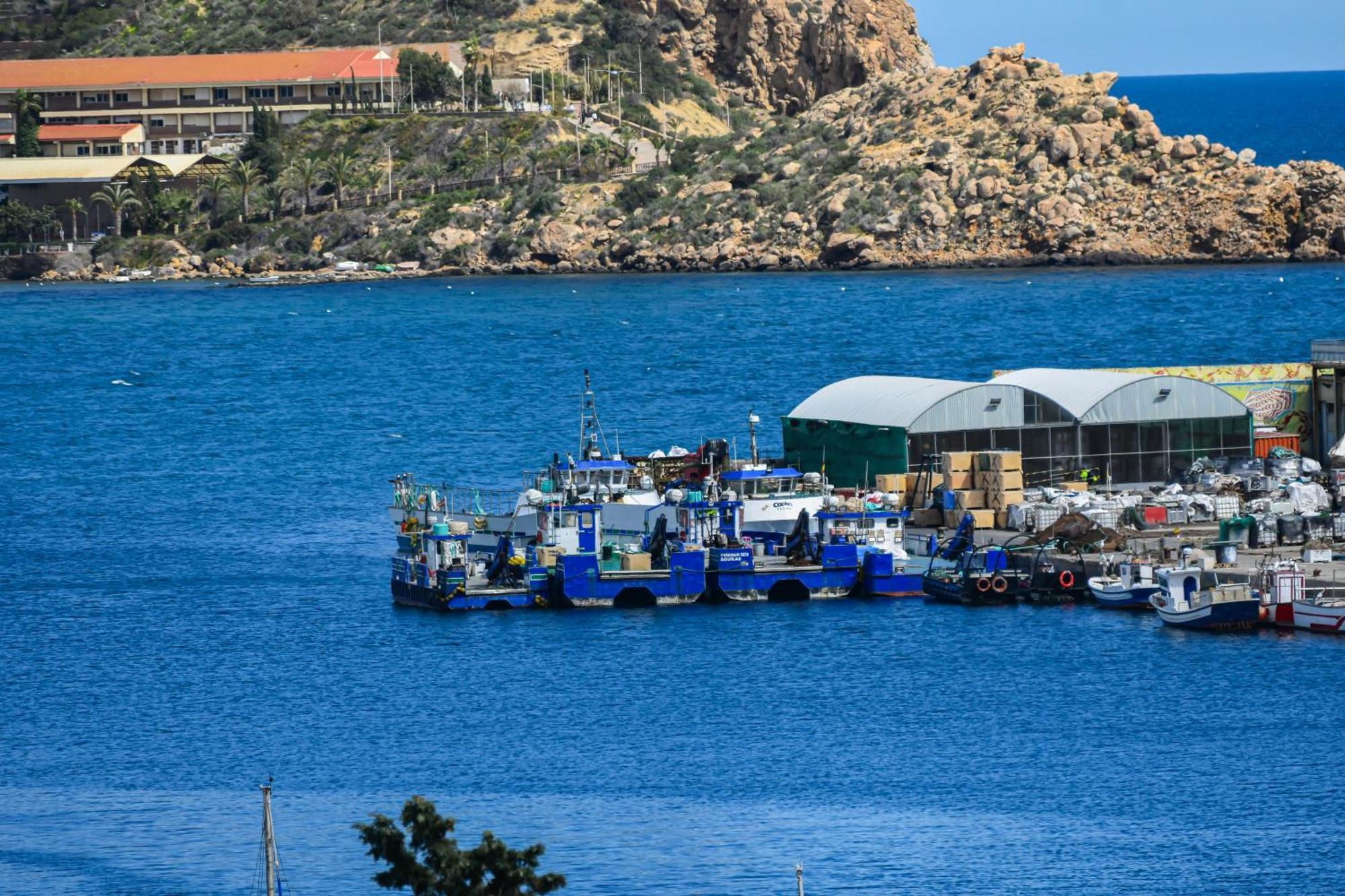 Dream View Aguilas - By Aloha Palma 外观 照片